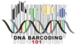 DNA Barcoding Verified