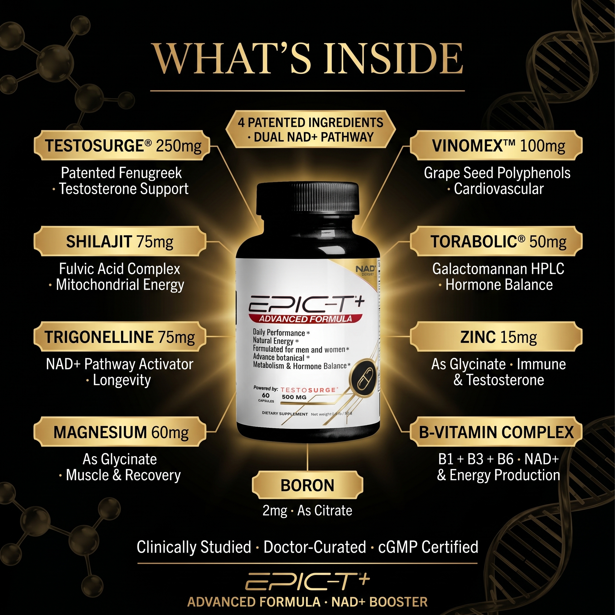 EPIC-T+ What's Inside — full ingredient breakdown at a glance
